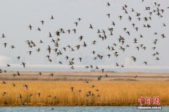 天津市获2026年李光耀世界城市奖